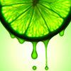 lime4.jpg